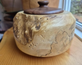 Box Elder Burl Urn  [u21]