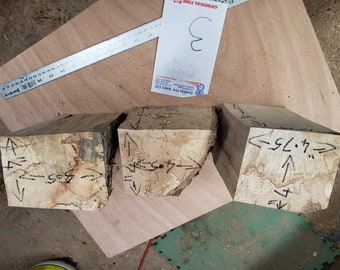 random spalted and wormed maple turning/carving blanks  [sh421]