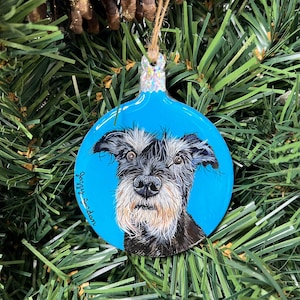 Custom Hand Painted Pet Portrait Ornaments!