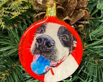 Custom Hand Painted Pet Portrait Ornaments!