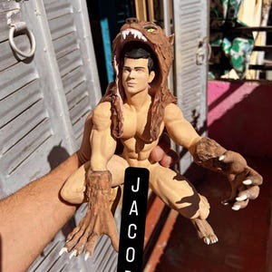 085/09 Jacob negro el lobo !