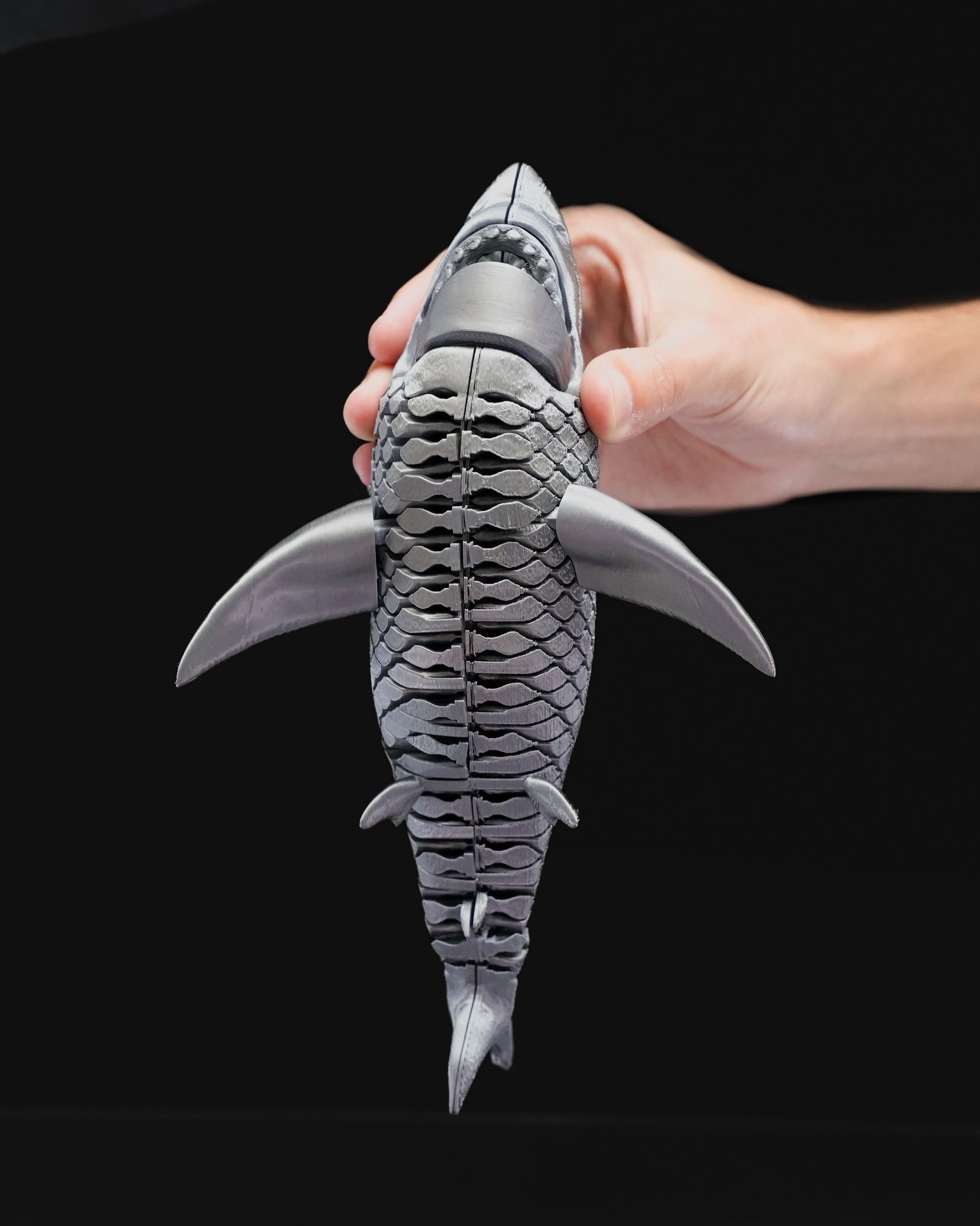 Articulated Great White Shark 3D Print - Etsy