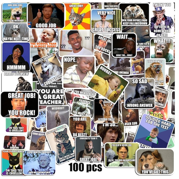 Funny Meme Stickers for Teacher, Rewards Stickers (100-500 pcs)