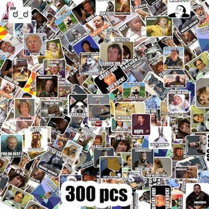 Meme Sticker,100-500 pcs,Meme Stickers for Teacher,Grading memes Stickers for Teachers,Teacher Sticker,Rewards Stickers meme sticker 300 pcs
