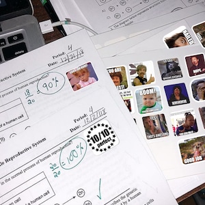 May include: Two graded papers with a 90% and 100% score. The papers are covered in stickers with humorous internet memes. The stickers feature text like "You're Awesome!" and "Good Job Dude!"