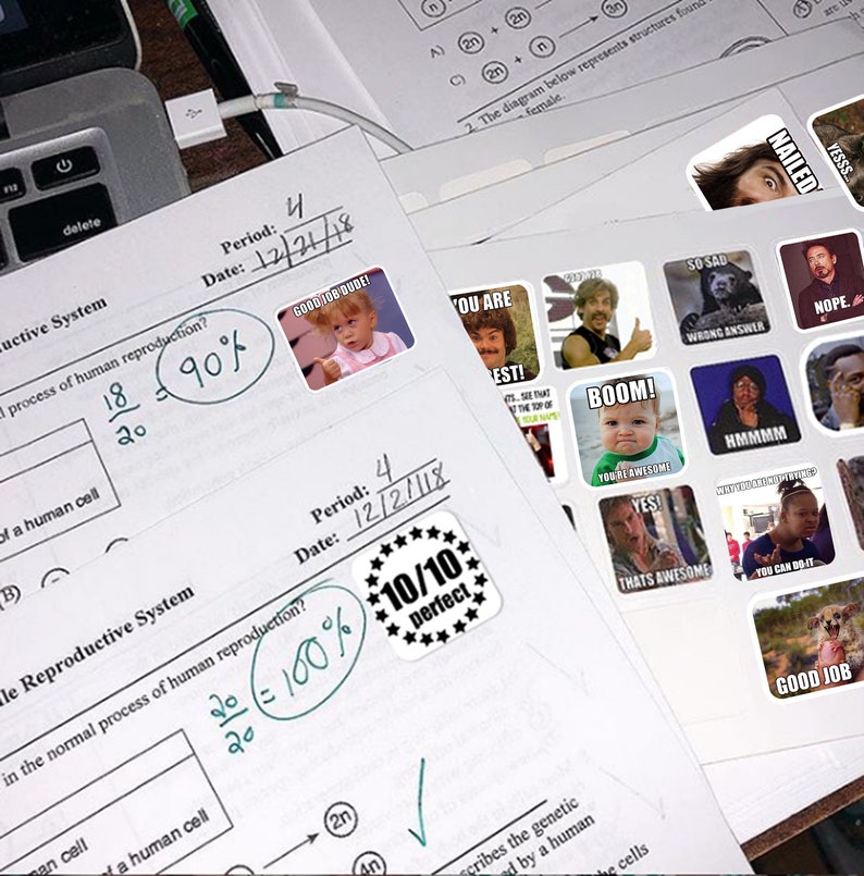 May include: Two graded papers with a 90% and 100% score. The papers are covered in stickers with humorous internet memes. The stickers feature text like "You're Awesome!" and "Good Job Dude!"