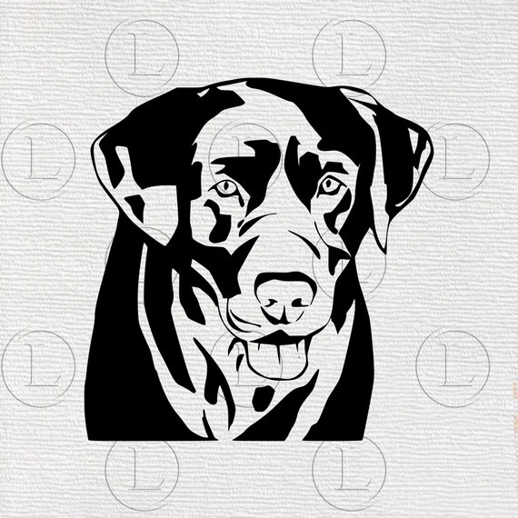 Download Dog Rottweiler Svg Dog Svg File Rottweiler Animals Etsy