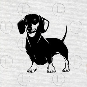 Dachshund Dog svd -Dachshund Dog vector graphics-Dachshund silhouette-Animals Clip art -Dog Tattoo- Svg For Cricut - For Silhouette - DXF