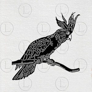 May include: Black and white illustration of a cockatoo perched on a branch. The bird has detailed feather patterns and a distinctive crest. The artwork is a silhouette style, suitable for various applications.