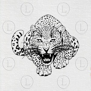 Tiger Svg File - Tiger Svg - Tiger Animals -Tiger - Animals Clip art - Svg For Cricut - For Silhouette - DXF - EPS