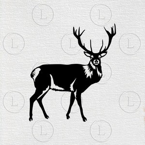 Deer SVG - Deer  png- Deer  Silhouette deer vector graphics - Deer  animal -Svg For Cricut - For Silhouette - DXF- eps svg png files