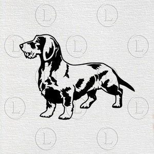 May include: Black and white illustration of a Dachshund dog in a side profile. The dog is standing with its head and tail up. The design is a silhouette style, with a textured background.