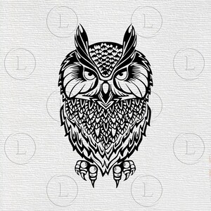 Owl svg - Owl vector graphics- Bird svg- Owl drawing svg - Owl svg for cricut - Owl illustration - Svg - Eps -DXF - PDF - PNG - fichiers