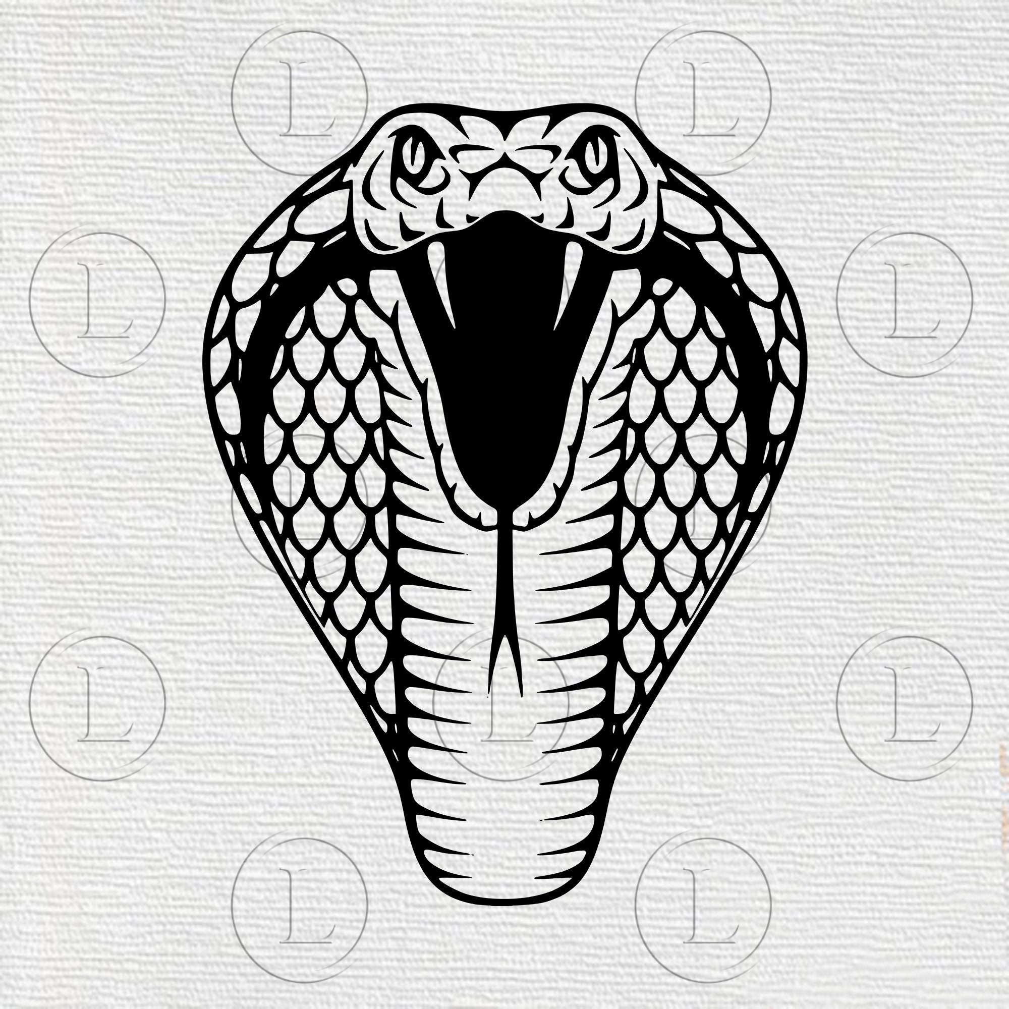 snake drawing