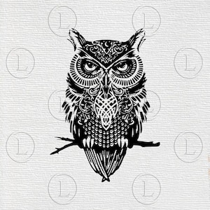 Owl svg - Owl vector graphics- Bird svg- Owl  drawing svg - Owl  svg for cricut -  Owl  illustration - Svg - Eps -DXF - PDF - PNG - files