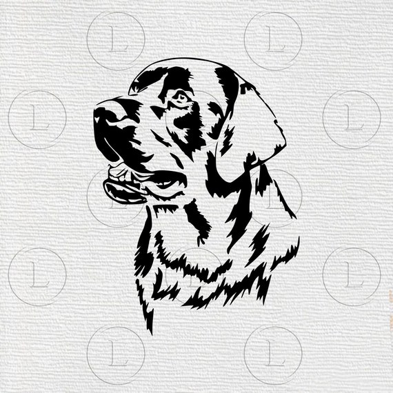 Download Dog Rottweiler Svg Dog Svg File Rottweiler Animals Etsy