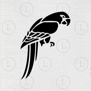 Macaw Parrot svg-Macaw  on a tree branch svg- Parrot clip art- Macaw vector graphics-Macaw svg for cricut-Macaw silhouette png svg dxf pdf