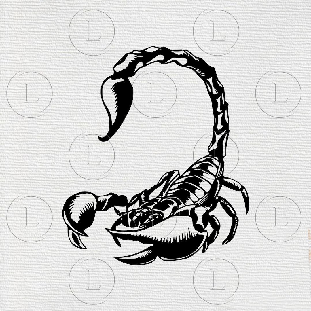 Scorpion Svg-scorpion Vector Graphics-scorpion Svg for Cricut-scorpion  Drawing Svg-scorpion Silhouette Svg Png Pdf Dxf Files - Etsy