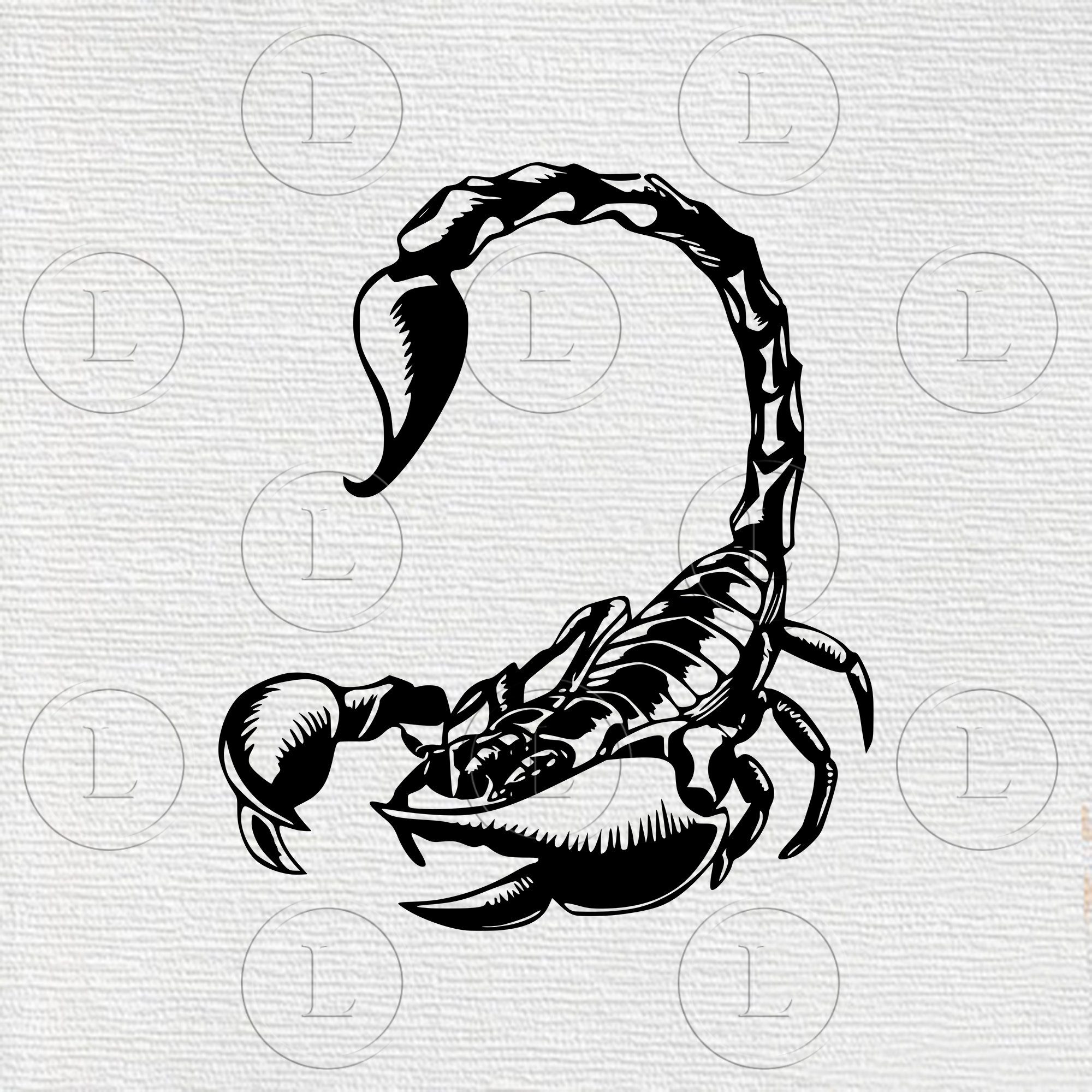 Scorpion Drawing Scorpio maurus Painting Sketch scorpion works great  crayon png  PNGWing