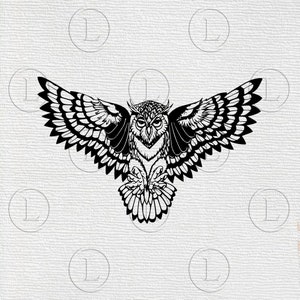 Owl svg - Owl vector graphics- Bird svg- Owl  drawing svg - Owl  svg for cricut -  Owl  illustration - Svg - Eps - PDF - PNG - files