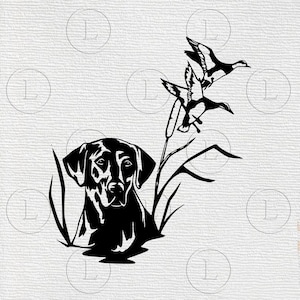 Perro de caza svg-perro de caza gráficos vectoriales-perro de caza silueta-perro de caza animal clipart-perro de caza dibujo svg-Eps-Png-Pdf archivos