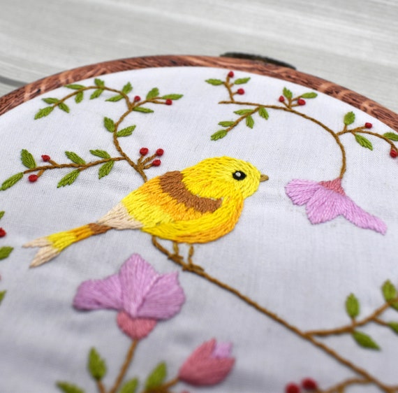 Picoey Birds Embroidery Kit for Beginners with Pattern and
