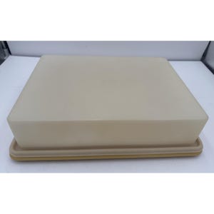 Puede incluir: Un recipiente de plástico beige rectangular con una tapa a juego. El recipiente se asienta sobre una base de color beige amarillento ligeramente más oscura. La tapa tiene una parte superior ligeramente redondeada.