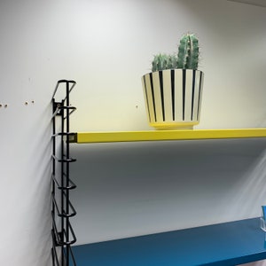 May include: A black metal shelf unit with two shelves. The top shelf is yellow and the bottom shelf is blue. A potted cactus with white and black striped pot sits on the top shelf.