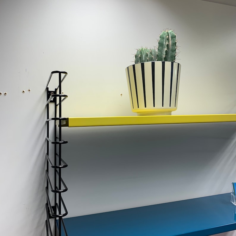 May include: A black metal shelf unit with two shelves. The top shelf is yellow and the bottom shelf is blue. A potted cactus with white and black striped pot sits on the top shelf.