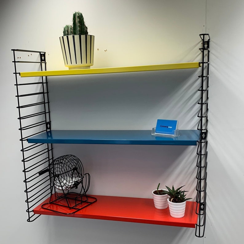 May include: A black metal shelving unit with three shelves. The top shelf is yellow, the middle shelf is blue, and the bottom shelf is red. There is a small potted cactus on the top shelf, a small wire cage with white balls on the middle shelf, and two small potted succulents on the bottom shelf.