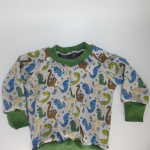 Könnte beinhalten: Ein grünes und graues Langarmshirt mit Dinosaurier-Druck. Das Sweatshirt hat einen Rundhalsausschnitt und gerippte Bündchen und Saum.