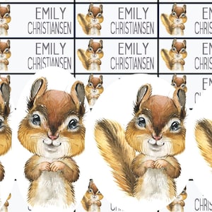 Può includere: Motivo ripetuto di etichette con un'illustrazione ad acquerello di uno scoiattolo e il nome "EMILY CHRISTIANSEN". Lo scoiattolo è marrone e bianco con una coda soffice. Le etichette sono rettangolari e disposte a griglia.