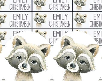 Name stickers, school stickers, raccoon stickers, raccoon class stickers, class stickers, labels, personalized, girls, NA125