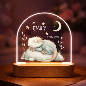 Può includere: Luce notturna in legno con design ad arco luminoso. Raffigura una lucertola addormentata, il nome "EMILY", stelle, una luna crescente e la data 27.02.2024. La luce emette una luce soffusa, ideale per la camera da letto.