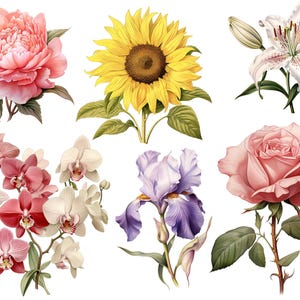 Blumen Sticker oder Bügelbild, Aufnäher, Sommer, Vinylsticker, Transfer für Helle und Dunkle Textilien, DIY T Shirt, Basteln, bekleben,