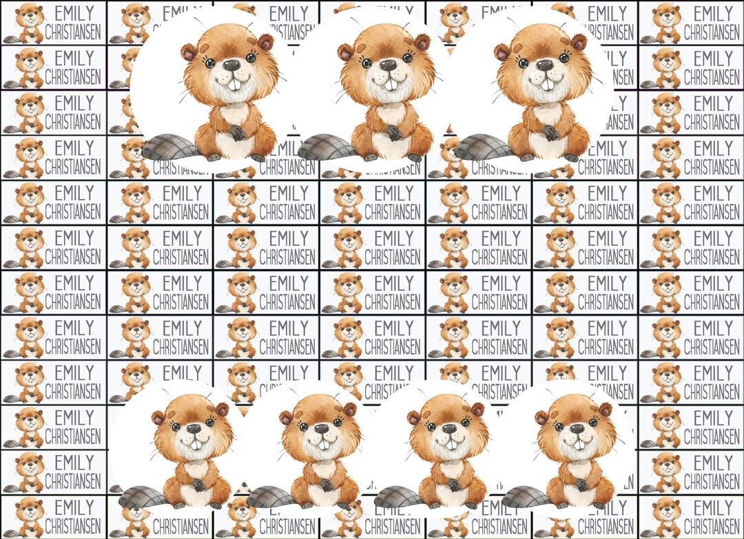 Name Stickers, School Stickers, Beavers, Beaver Class, Beaver Stickers ...