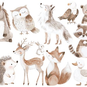 Waldtiere Sticker, Bügelbilder Reh, abwaschbar, Vinylsticker, Wandsticker, Eule Sticker ,Eichhörnchen Sticker, Hase, Sommer, Bügelbild