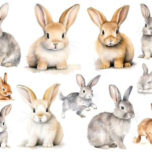 Hasen Sticker, Bügelbilder Osterhase, abwaschbar, Vinylsticker, Wandsticker,  Sticker , Frühling Sticker, Sommer Bügelbild, Blumen,