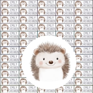 May include: A sheet of personalized labels featuring a repeating pattern of a cartoon hedgehog and the name "EMILY CHRISTIANSEN". The labels are rectangular with a white background and black text. A large, circular image of the hedgehog is in the center.
