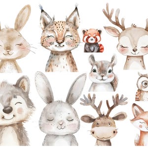 Waldtiere Sticker, Bügelbilder Reh, abwaschbar, Vinylsticker, Wandsticker, Eule Sticker ,Eichhörnchen Sticker, Hase, Sommer, Bügelbild