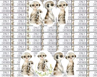 Name stickers, school stickers, meerkats, meerkat class stickers, labels with name, personalized, girls, NA115