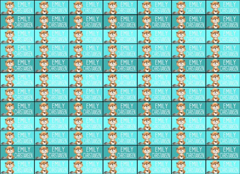 Name Stickers, School Stickers, Beavers, Beaver Class, Beaver Stickers ...