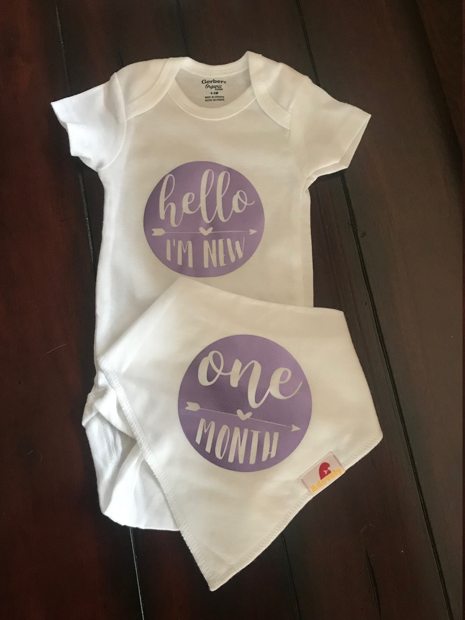 monthly baby bibs