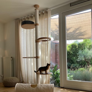 May include: A contemporary cat tree featuring wooden platforms, a clear bubble, and a tunnel. The cat tree is constructed from wood and rope, with a brown cat resting on a platform. The cat tree is situated in a room with wooden flooring.