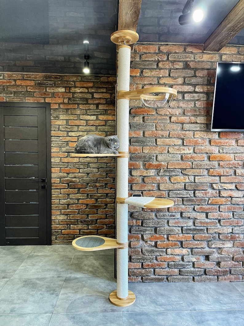 May include: A white cat tree with a grey cat resting on a platform. The cat tree has multiple platforms, a scratching post, and a clear plastic bowl. The cat tree is against a brick wall.