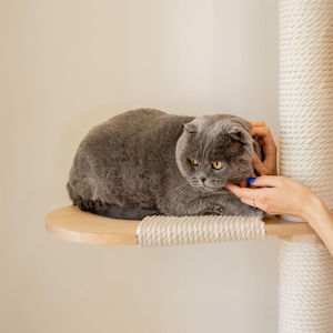 Modern Wooden Cat Tree Tower, Scratching Post, Condo, Cat Shelves image 13