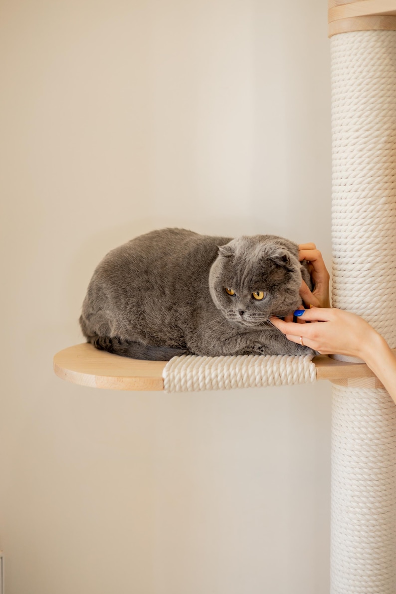 Modern Wooden Cat Tree Tower, Scratching Post, Condo, Cat Shelves image 13