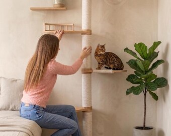 Indoor Cat Playground with Acrylic Perch | Wooden Cat Activity Center with Scratching Post & Climbing Platforms