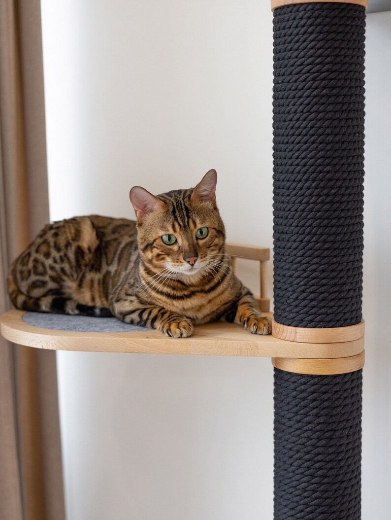 May include: A brown tabby cat with green eyes is lying on a wooden platform with a black rope-covered post in the background. The platform is part of a cat tree.