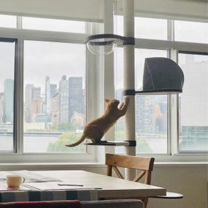 Floor to ceiling cat tree, Wood cat tree, Tall Cat tree, Cat scratching post, Cat shelves, Cat tower, Mounted Cat Pole, Cat Climbing Pole Dark Toning/White